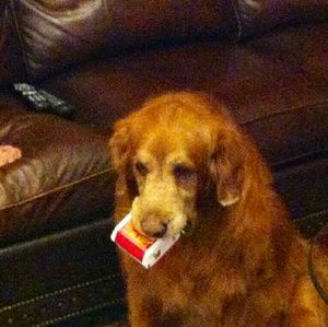 Meet your Posher, Jenny