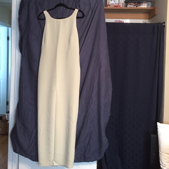 Vintage Ann Taylor gown