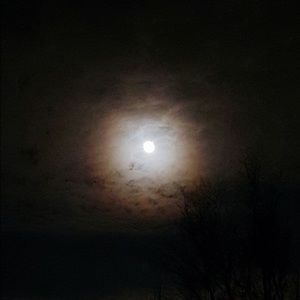 Meet your Posher, Darcy