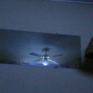 Meet your Posher, Danette