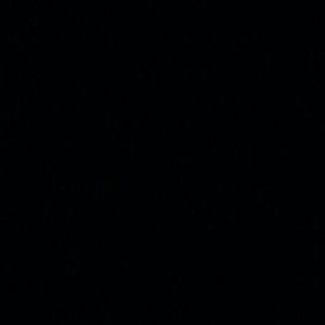 Meet your Posher, Rafael