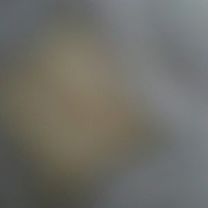 Meet your Posher, Dimitriy