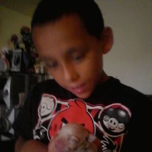 Meet your Posher, Joyce