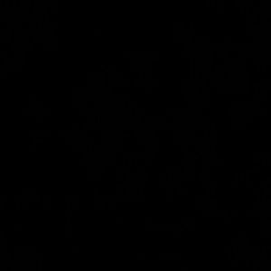 Meet your Posher, Sheketha