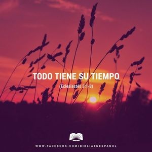 Meet your Posher, Tania