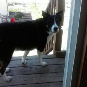 Meet your Posher, Mary ann