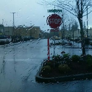 Meet your Posher, Misty