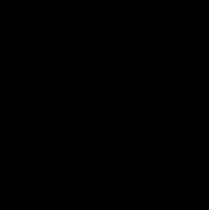 Meet your Posher, Shanette