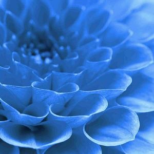 Meet your Posher, Nickole