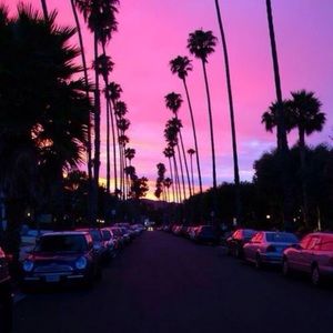 Meet your Posher, Naomi