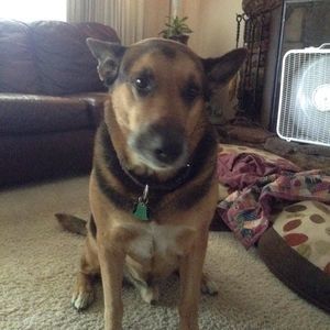 Meet your Posher, Roberta