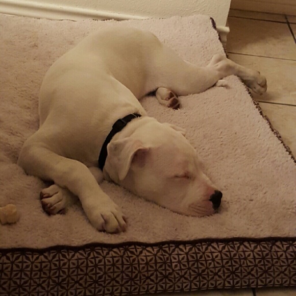 Hello from Apophis!!! - Picture 3 of 4