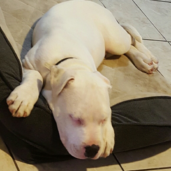 Hello from Apophis!!! - Picture 4 of 4