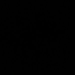 Meet your Posher, Gregory