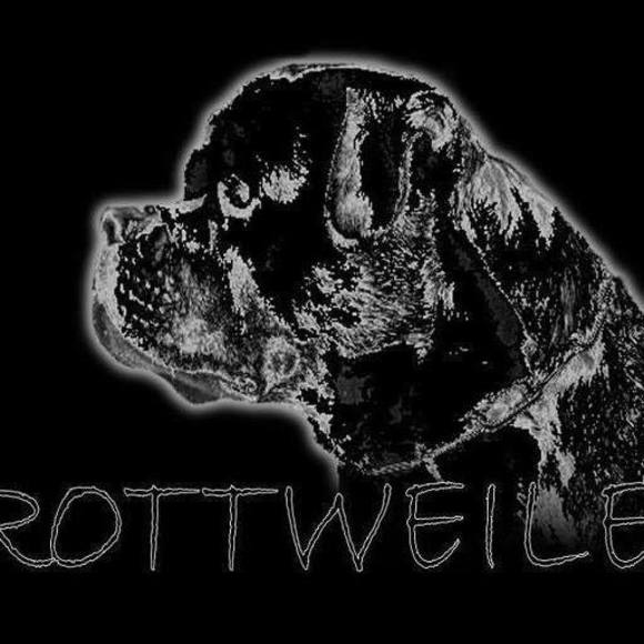 Meet your Posher, Russell - Picture 1 of 1