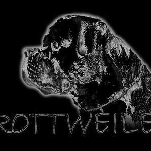 Meet your Posher, Russell