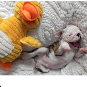 Meet your Posher, Alexys