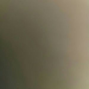 Meet your Posher, Kamille