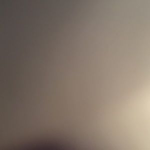 Meet your Posher, Marlie