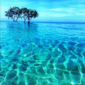 Meet your Posher, Ji