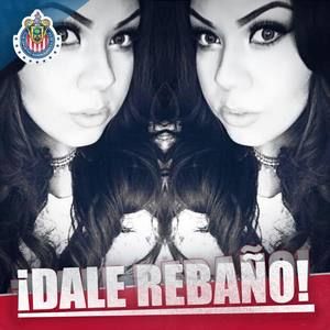 Meet your Posher, Lily