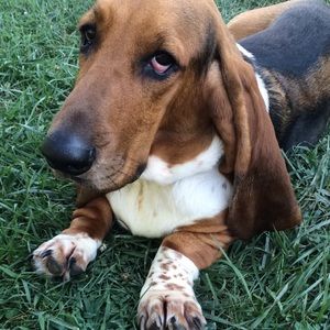 Meet your Posher, Tina