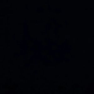 Meet your Posher, Clarissa