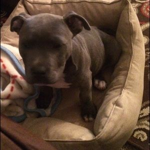 Meet your Posher, Dan