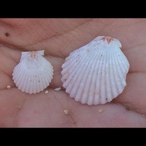 Meet your Posher, Kumiko