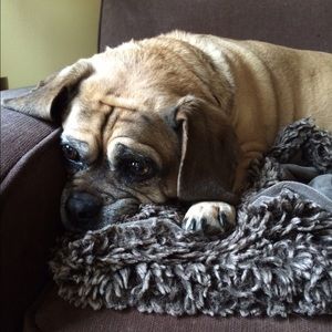 Meet your Posher, Anna