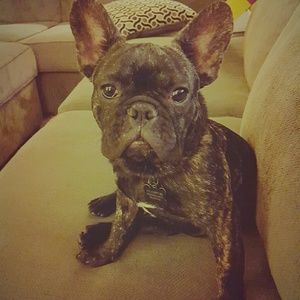 Meet your Posher, Heather