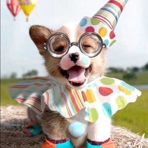 Meet your Posher, Long