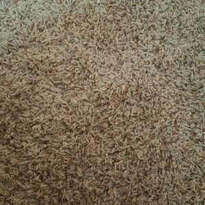 Meet your Posher, Taronna