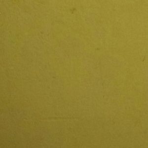 Meet your Posher, Jade