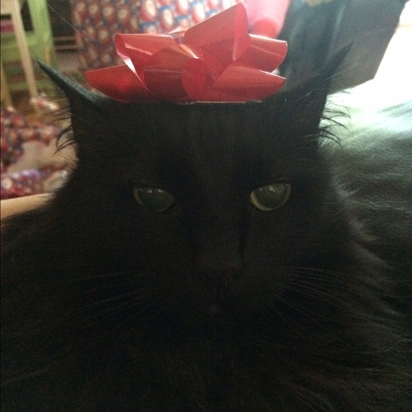 Meet your Posher, Alexandra