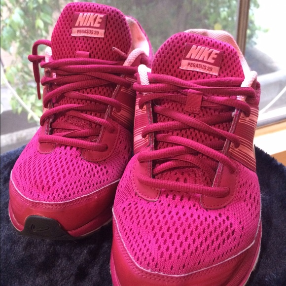 Nike Pegasus 29 running shoes