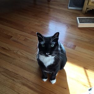 Meet your Posher, Donna