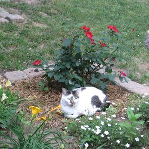 Meet your Posher, Marge