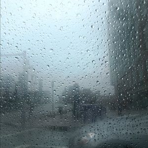 Meet your Posher, Bella