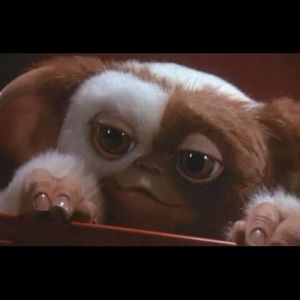 Meet your Posher, Joanella