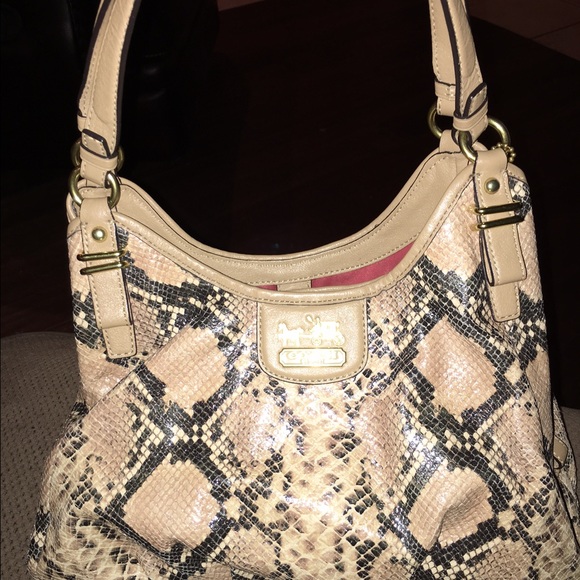 Madison Python Maggie Set