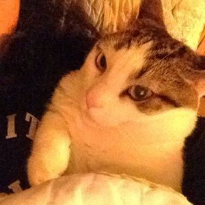 Meet your Posher, Mimi