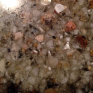 Meet your Posher, Wendy