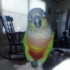 Meet your Posher, Joni