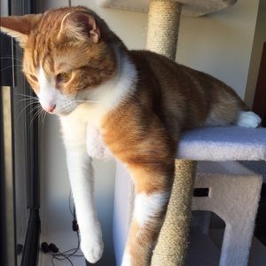 Meet your Posher, Jenny