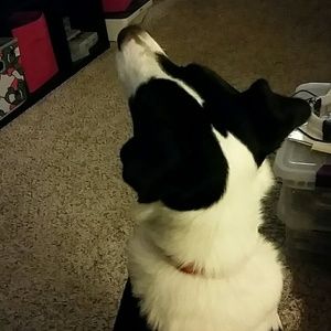 Meet your Posher, Jeff