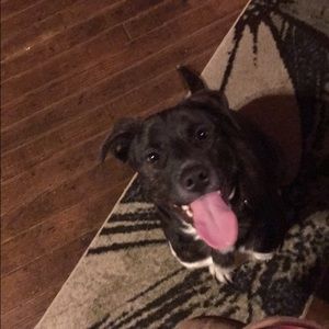 Meet your Posher, Alex