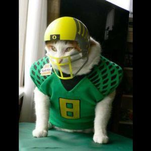 Meet your Posher, Dina