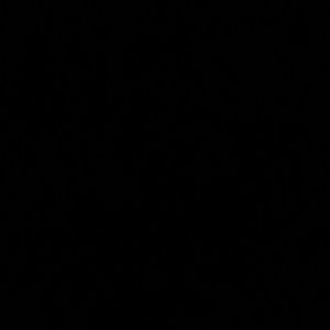 Meet your Posher, Cha young