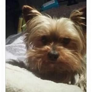 Meet your Posher, Wanda